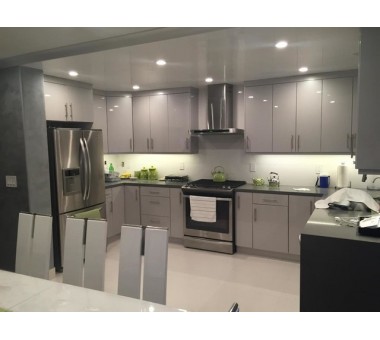 Z-Series Silver Gray Glossy